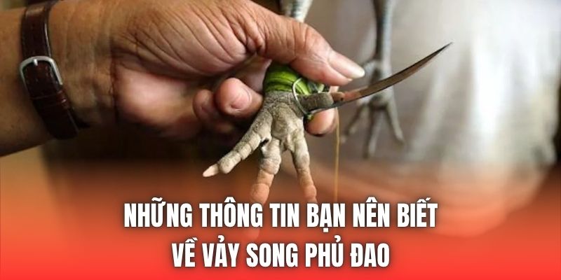 Những thông tin bạn nên biết về vảy song phủ đao